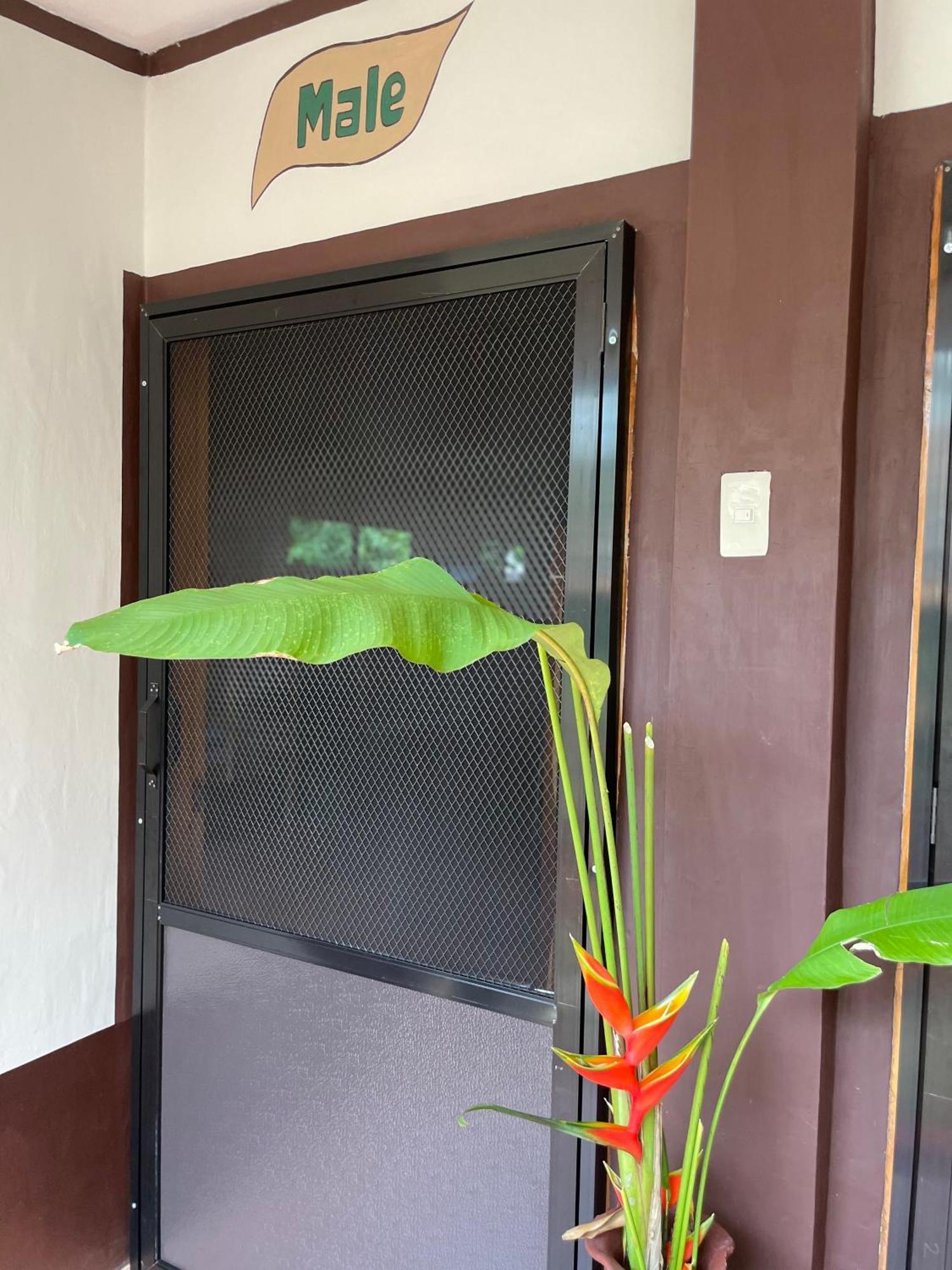 Chelle'S Guesthouse And Backpackers Siquijor Luaran gambar