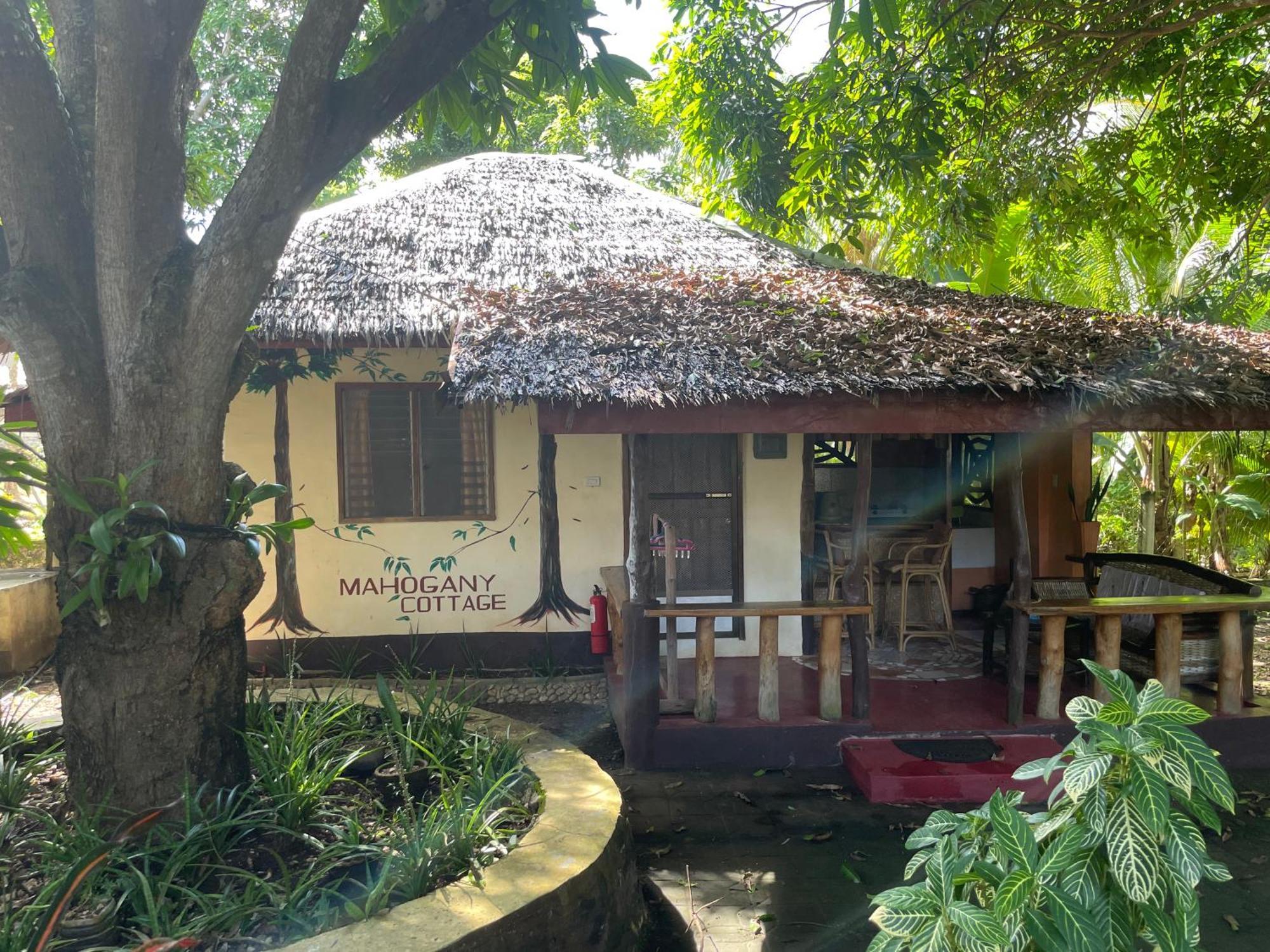 Chelle'S Guesthouse And Backpackers Siquijor Luaran gambar